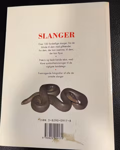 Slanger
