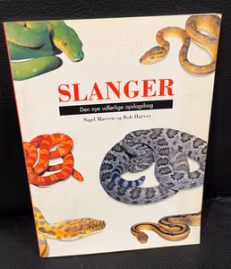 Slanger