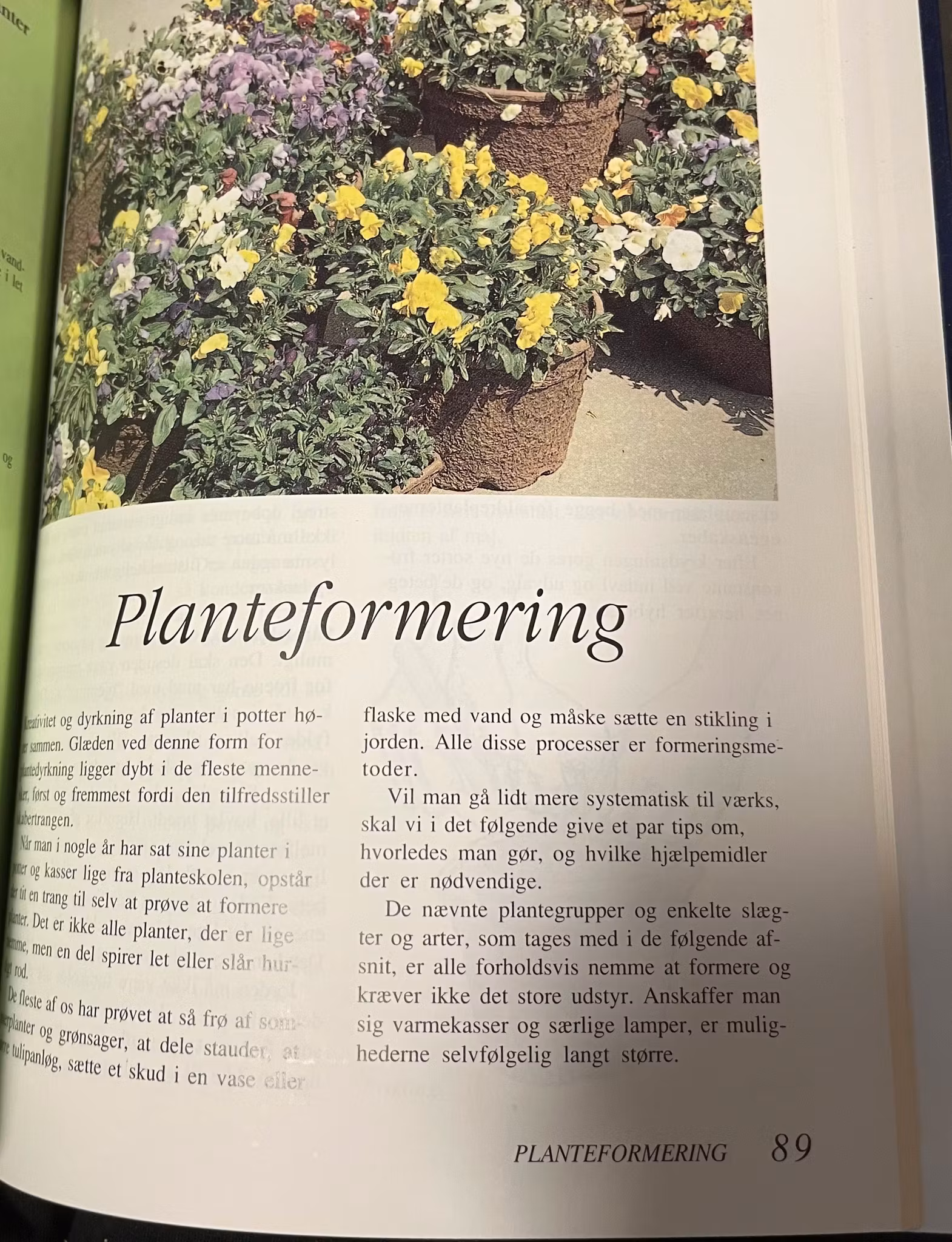 Planter i krukker og potter