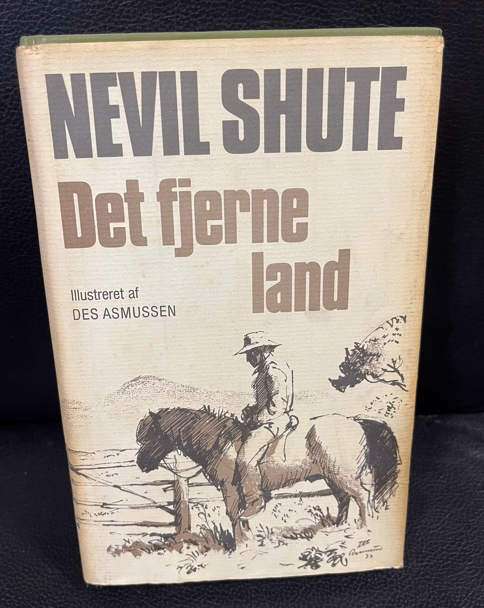 Det fjerne land