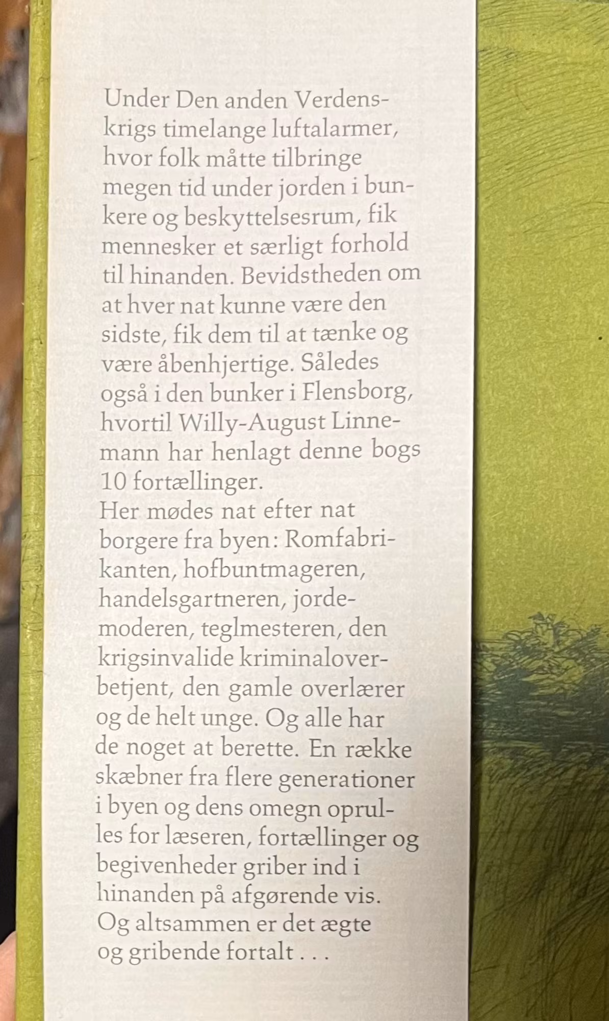 Bogen om det skjule ansigt