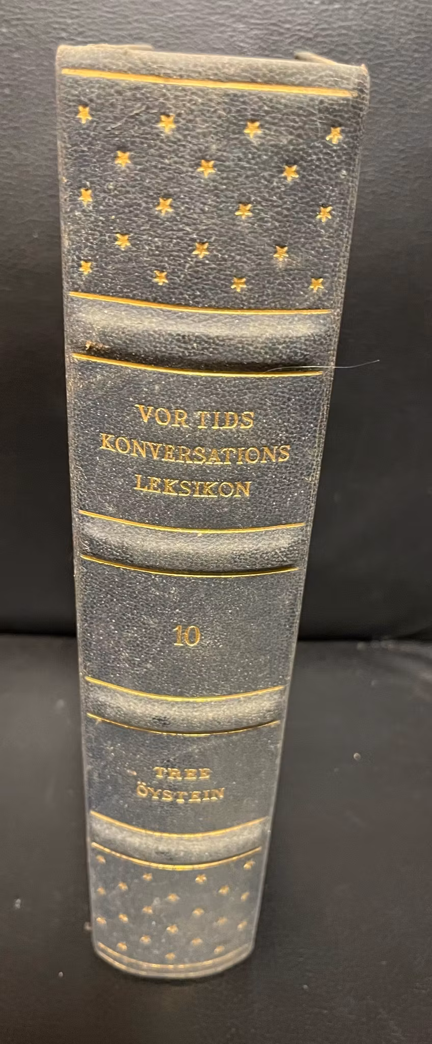 Vor tids konservations leksikon - bind 10