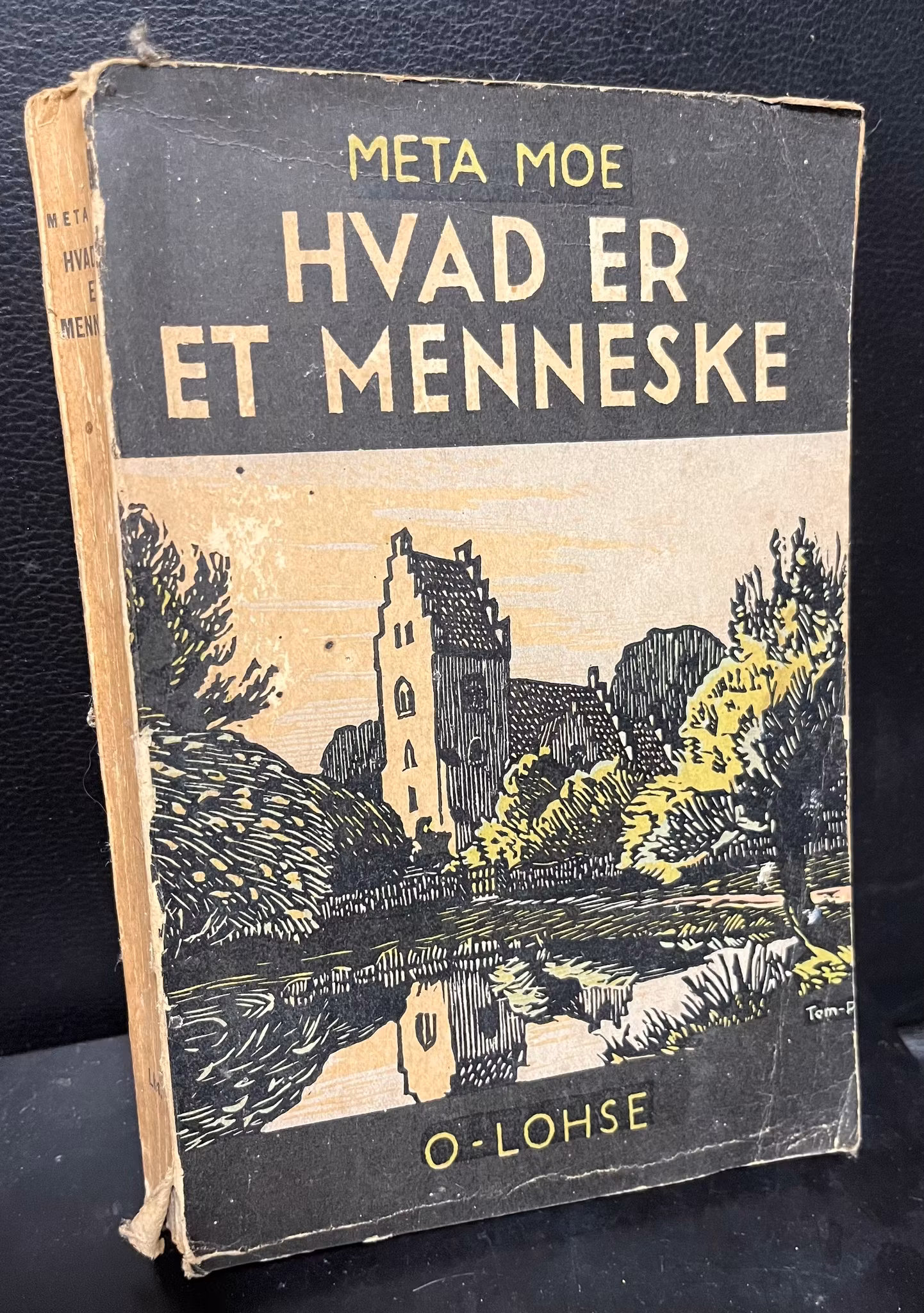 Hvad er et menneske