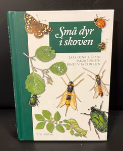 Små dyr i skoven