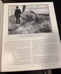 Mærkelige væsner
