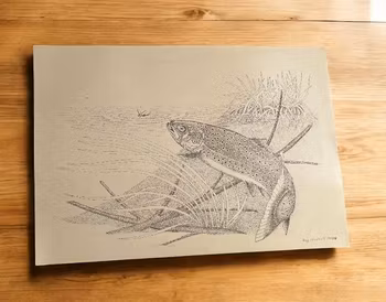 Roy Theiltoft fisketegning fra 1988 – A4 nr. 46