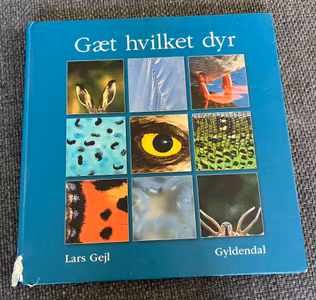 Gæt hvilket dyr – lærerig børnebog med dyr og leg