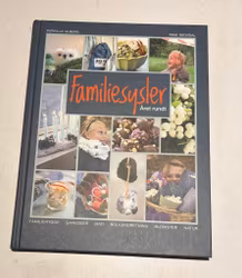 Familiesysler året rundt – kreative idéer, mad og familiehygge