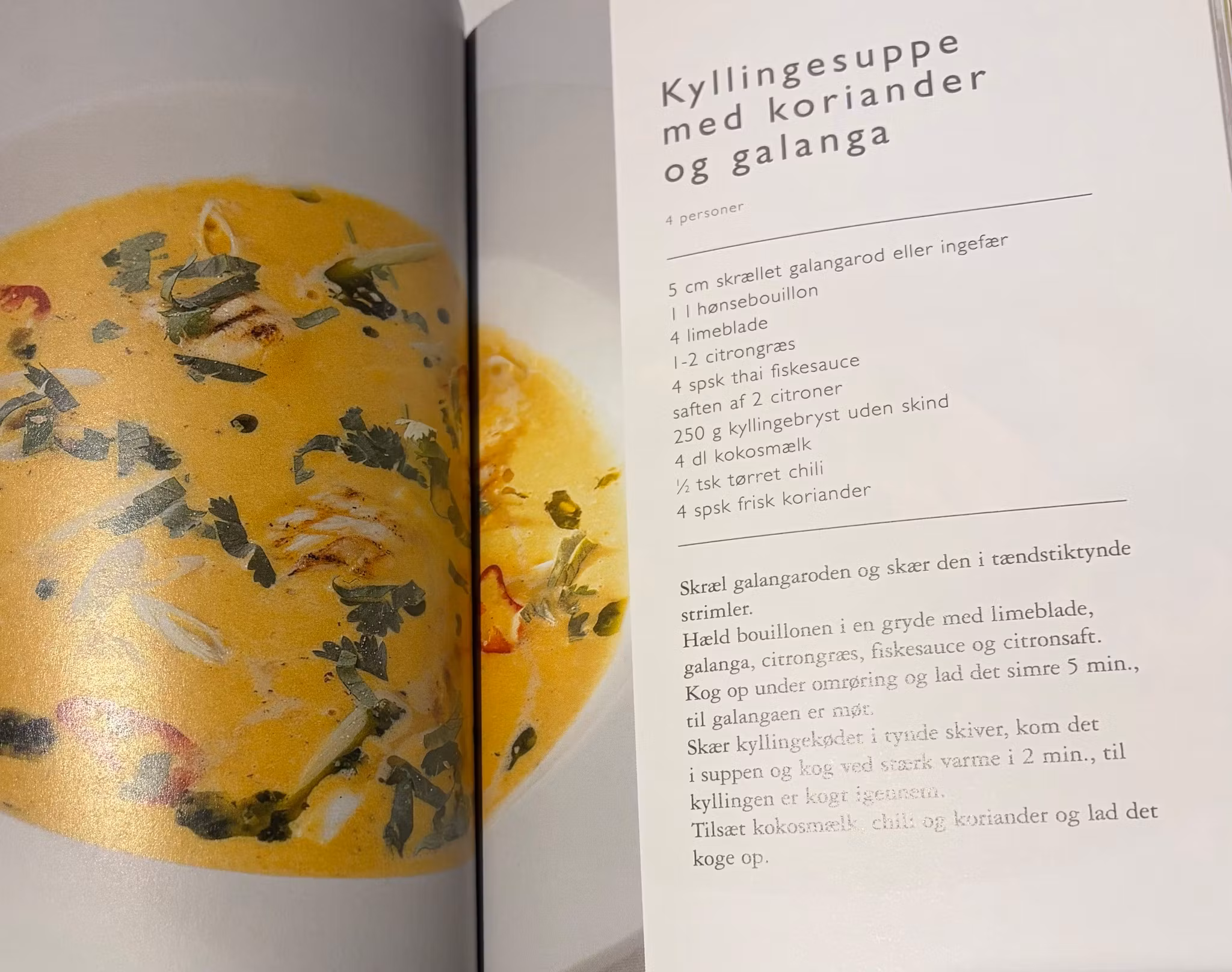 Gyldendals lille kogebog – 250 retter til hverdag og fest