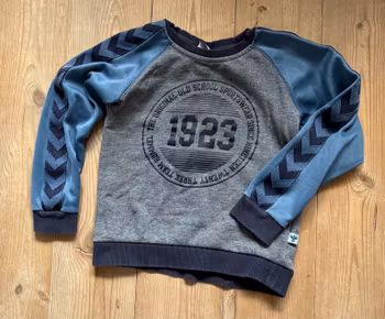 Hummel grå og blå sweatshirt med 1923-print – str. 110
