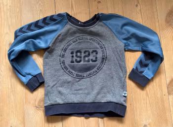 Hummel grå og blå sweatshirt med 1923-print – str. 110