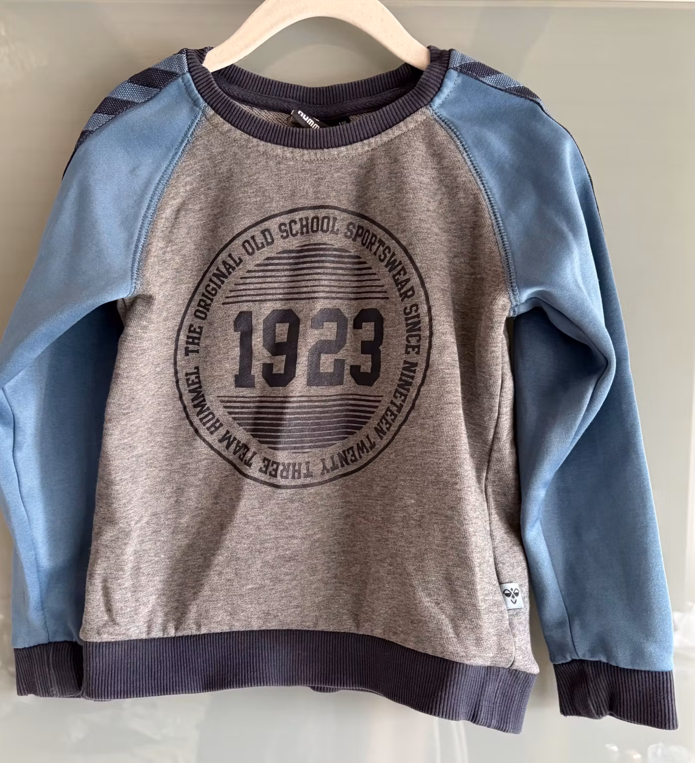 Hummel grå og blå sweatshirt med 1923-print – str. 110