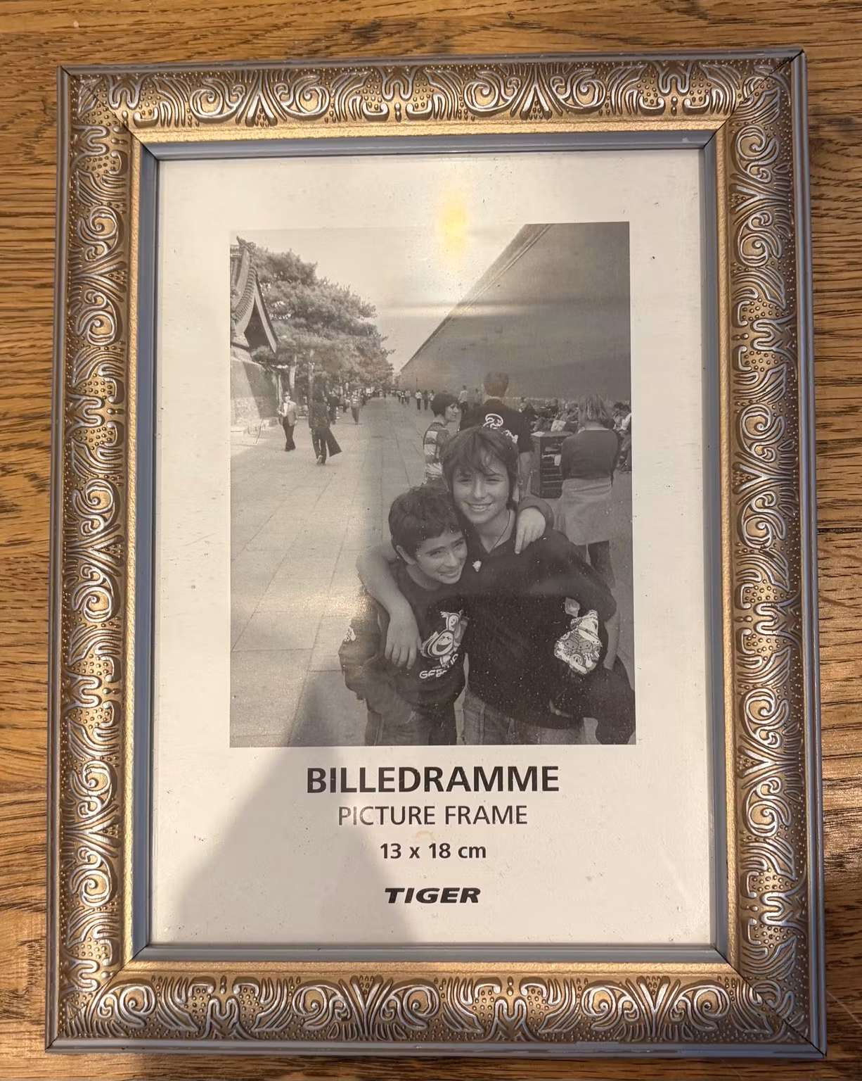 Billedramme Tiger – sølvfarvet med ornamenter, 13 × 18 cm