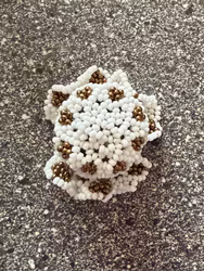 Perlehat – hvid og guldfarvet, ca. 5,5 cm