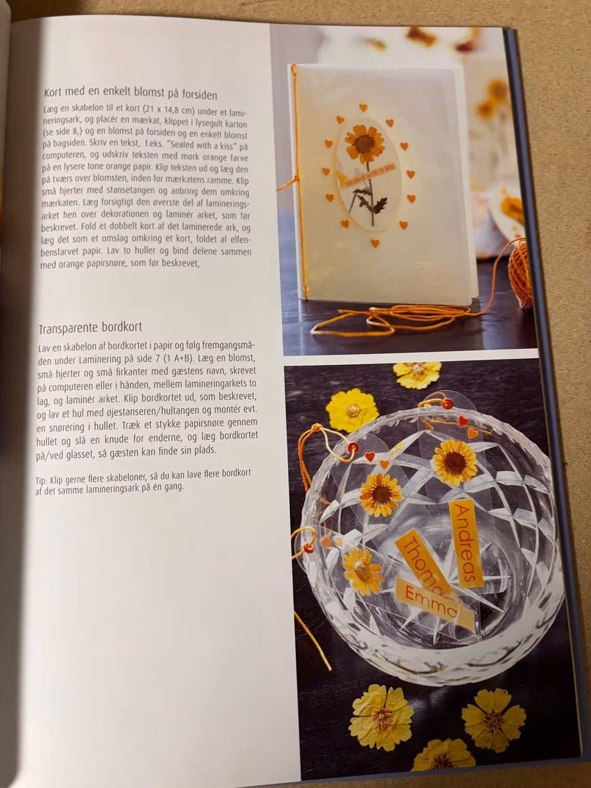 Hobbybog – Evighedsblomster – kort og kreative ideer af Gitte Schou Hansen