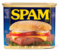 Spam classic 340g