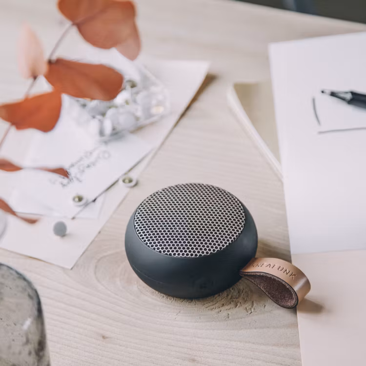 Bluetooth högtalare-Kreafunk aGO