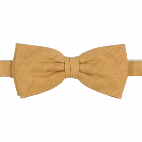 Gul sidenfluga - Portia