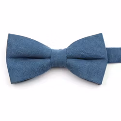 Enfärgad ljusblå knuten fluga