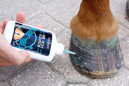 Kerckhaert Nail Hole Solution