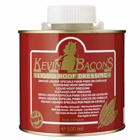Kevin Bacon Hovolja