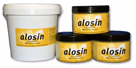 Alosin Hovsalva
