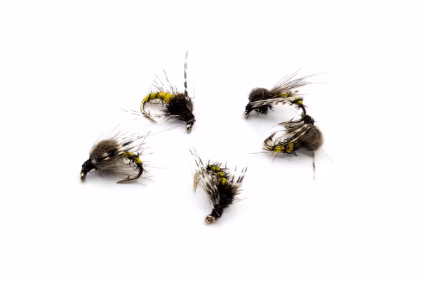 Puppor/nymfer - Antispinn AB