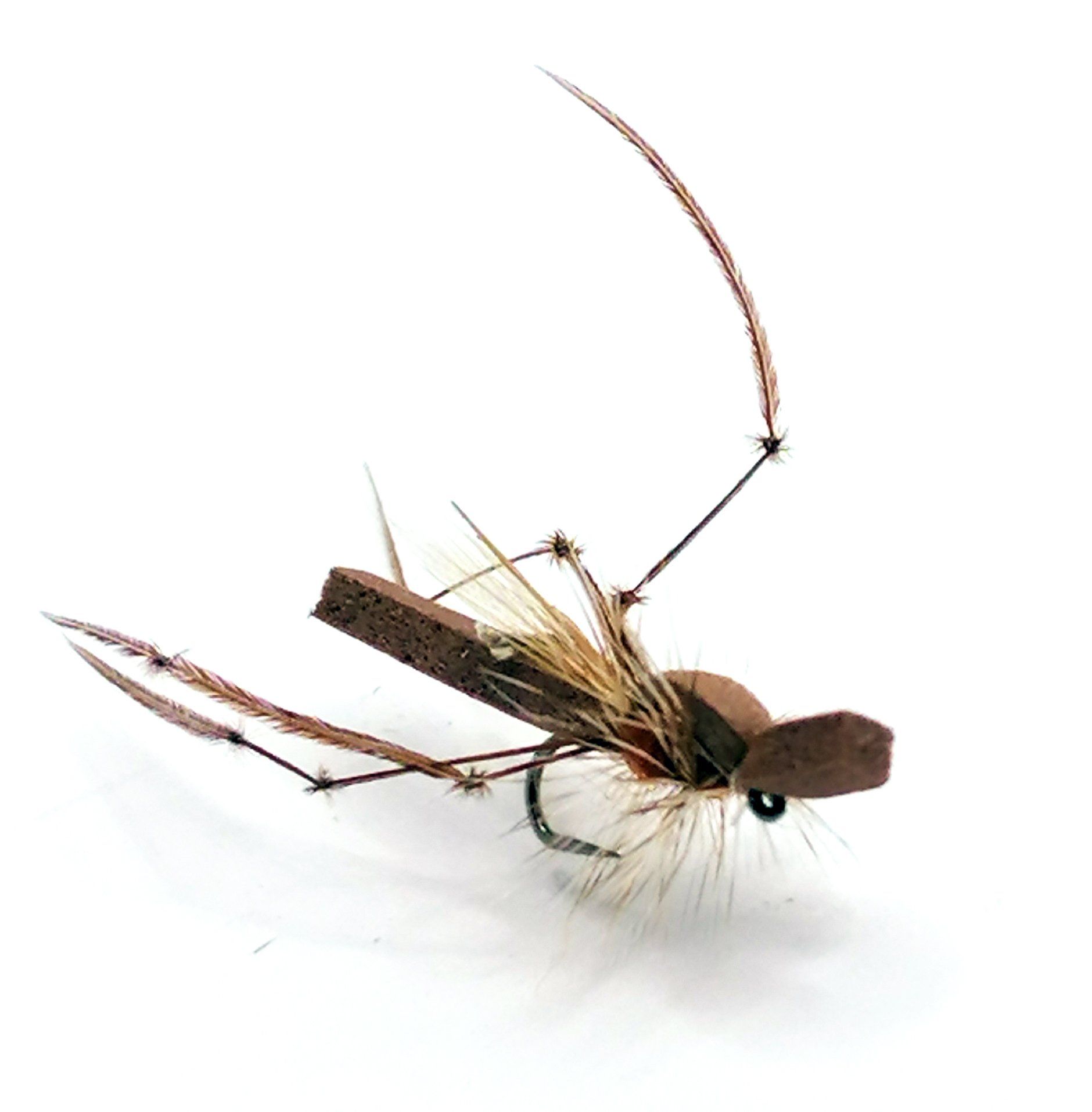 Landinsekter och övrigt - Antispinn AB