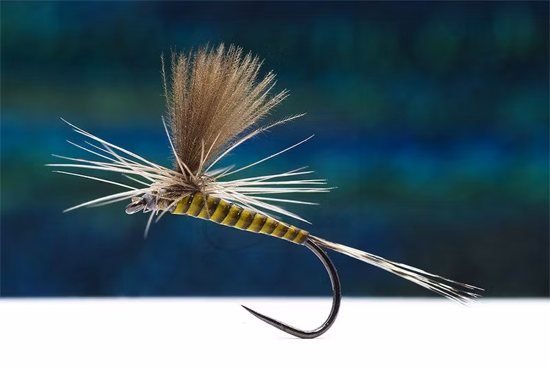 Premium Flugor - Antispinn AB