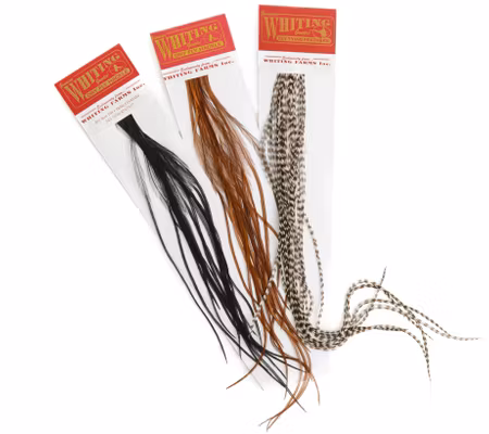 WHITING 100 PK SIZE 10