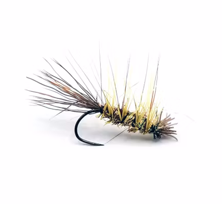 Comparadun Dark Brown #12 Long