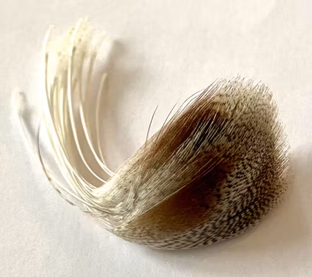 Flankfjäder Gräsand  Natur Vit/Brun Premium Selected