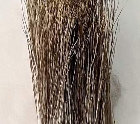 Älg kroppshår