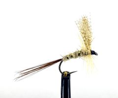 Atherton No:5 #14