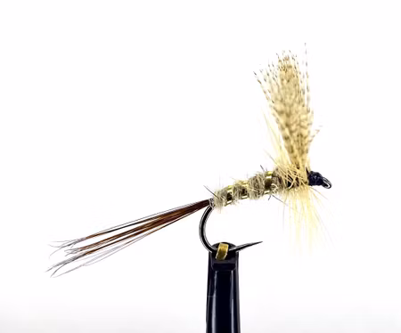 Atherton No:5 #14