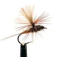 Dagslända Dun Brown