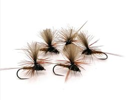 Dagslända Dun Brown