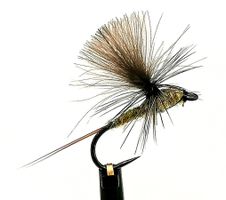 Dagslända Dun Olive