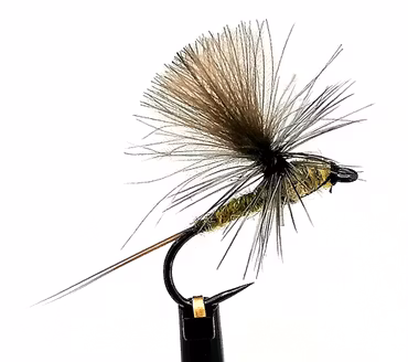 Dagslända Dun Olive