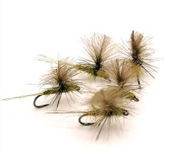 Dagslända Dun Olive