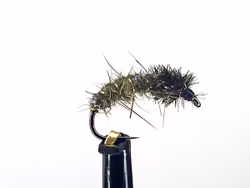 Påfågelpuppa