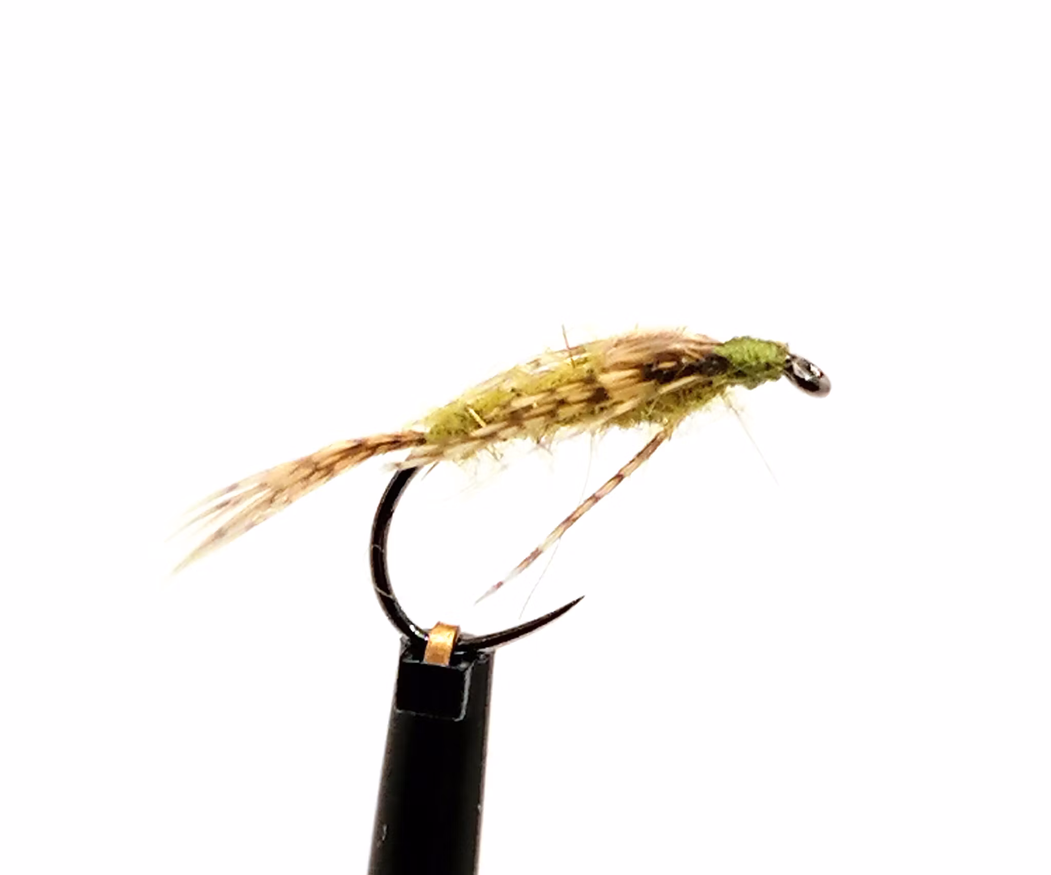 Nymf Olive