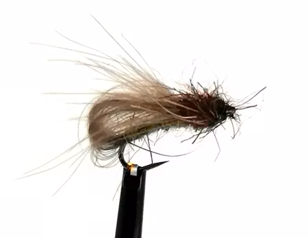 Gimåpuppan Olive