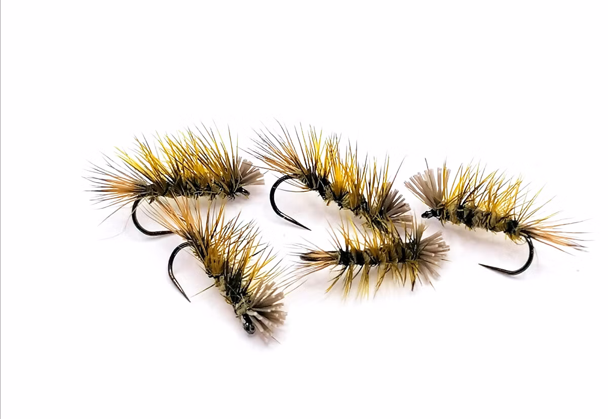 Dyret Olive