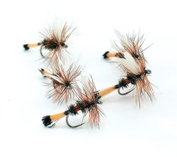 Royal Coachman