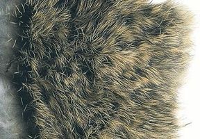 Hare Fur Natural Veniard
