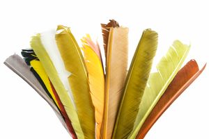 Turkey Biot Quills - Hareline