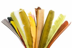 Turkey Biot Quills - Hareline