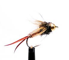 Copper John #14