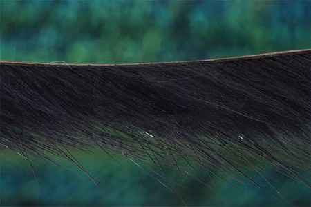 Troutline Weasel Zonkers -strips of 3mm